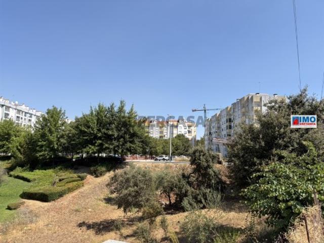 Terreno venda em Castelo Branco