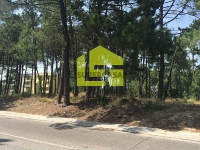 Terreno venda em Azeitão (São Lourenço e São Simão), Setúbal