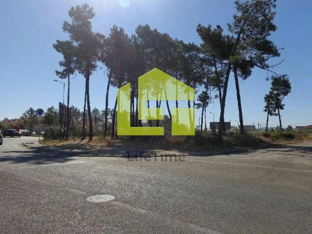Terreno venda em Azeitão (São Lourenço e São Simão), Setúbal