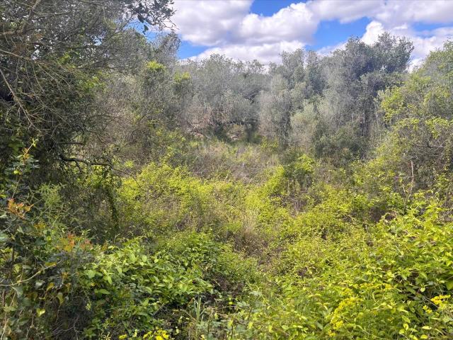 Terreno en venta en el Mas Tapet, Garraf