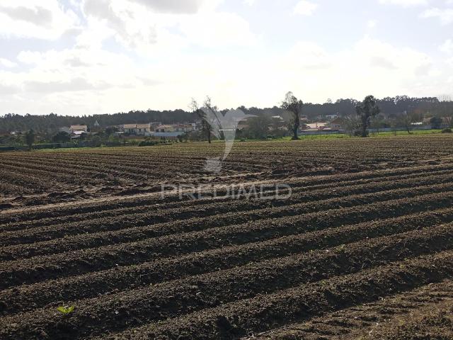 Terreno venda em Ílhavo, Aveiro
