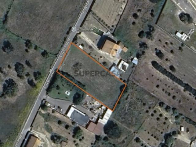 Terreno venda em Santarém