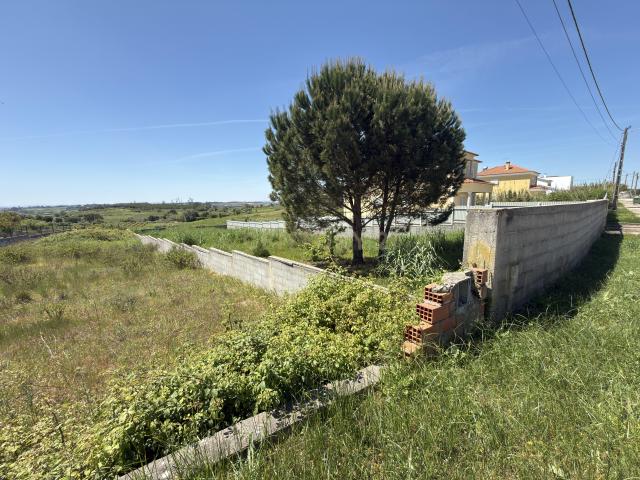 Terreno venda em Cartaxo, Santarém