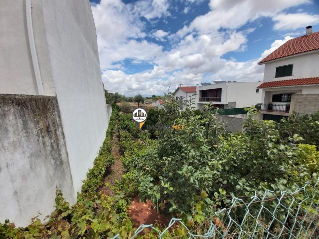 Terreno venda em Castelo Branco