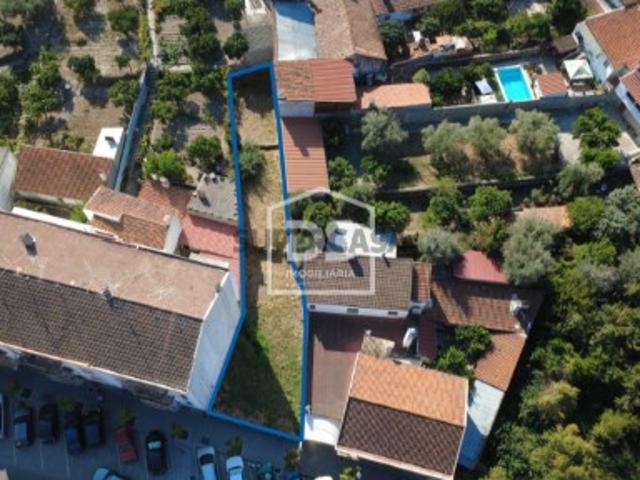 Terreno venda em Castelo Branco