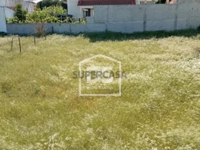 Terreno venda em Castelo Branco