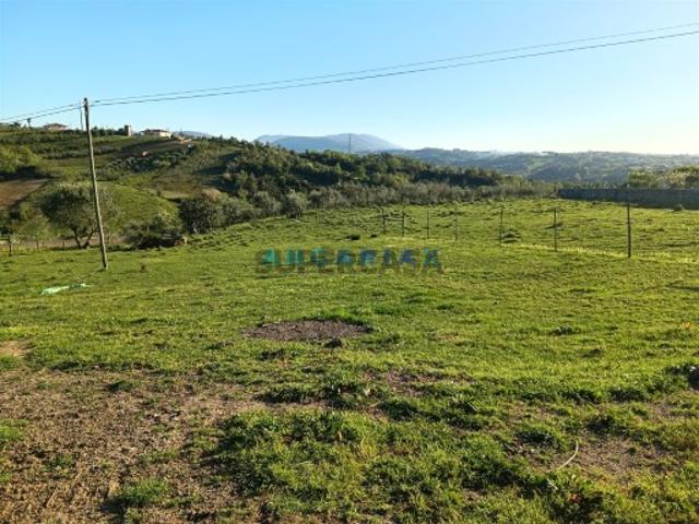Terreno venda em Batalha, Leiria