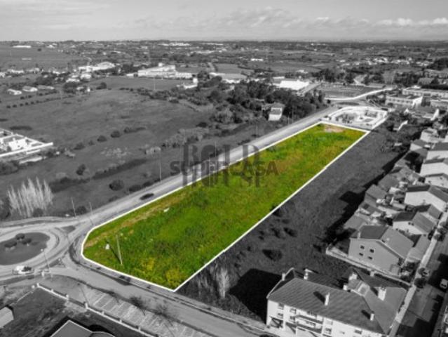 Terreno venda em Cartaxo e Vale da Pinta, Cartaxo