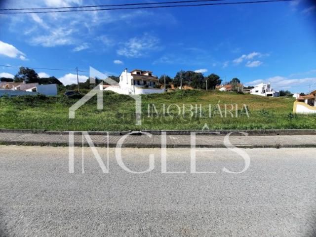 Terreno venda em Chamusca e Pinheiro Grande, Chamusca