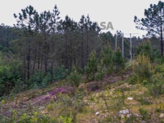 Terreno venda em Oliveira De Azeméis, Aveiro