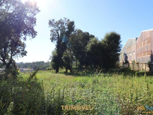Terreno venda em Oliveira De Azeméis, Aveiro