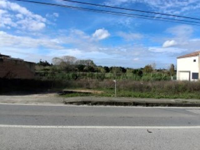 Terreno venda em Anadia, Aveiro