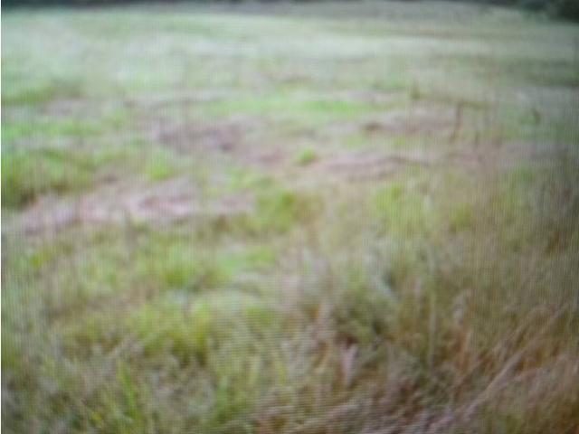 Terreno en venta en Garrigues, Catalunya