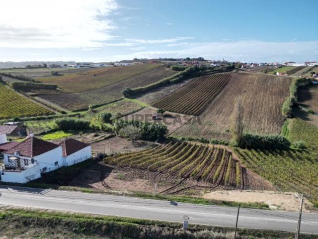 Terreno venda em Torres Vedras, Lisboa