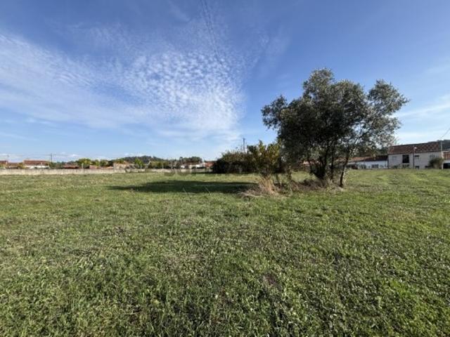 Terreno venda em Coimbrã, Coimbra
