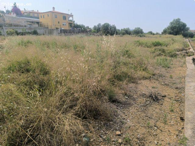 Local Comercial en venta en la Safor, Valencia