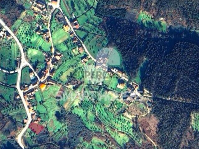 Terreno venda em Arganil, São Martinho Da Cortiça