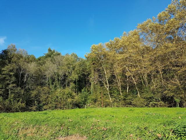 Terreno en venta en Urnieta, Guipúzcoa