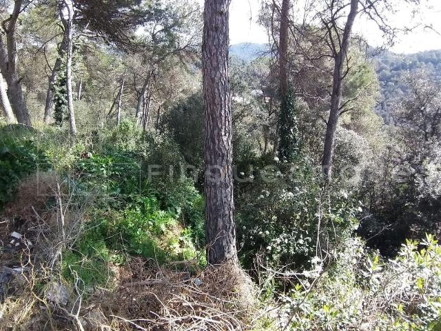 Terreno en venta en Torreblanca I, Vacarisses