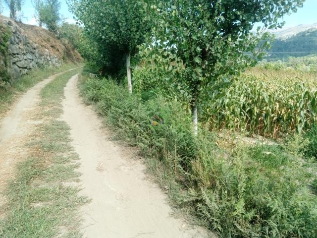 Terreno venda em Vila Verde, Braga