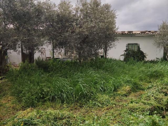 Terreno en venta en Valdelacasa De Tajo, Extremadura