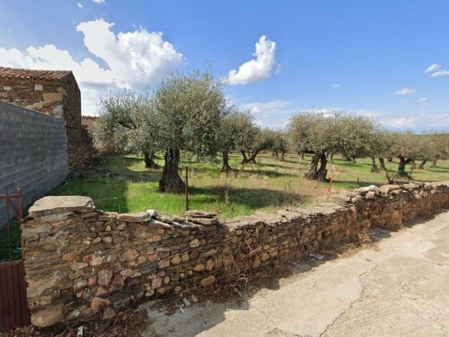 Terreno en venta en Valdelacasa De Tajo, Extremadura