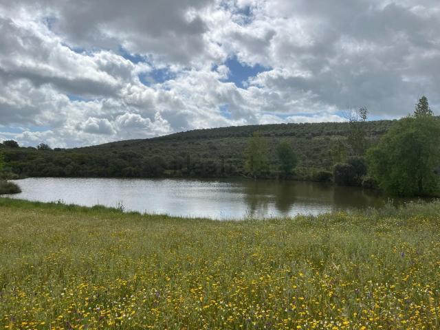 Terreno en venta en Chillón, Castilla-La Mancha