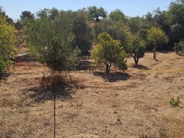 Terreno venda em Loulé, Faro