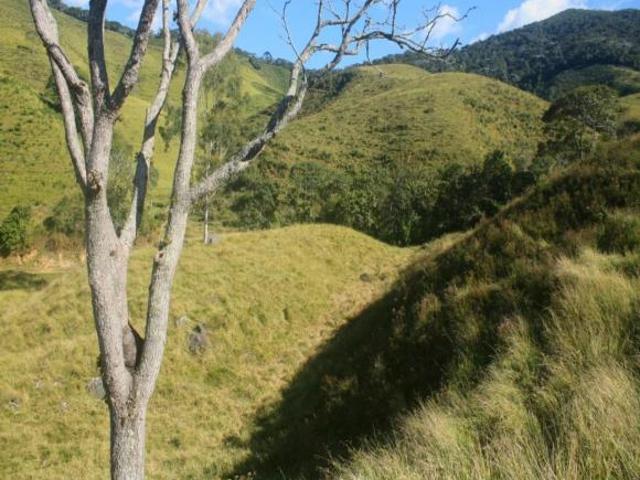 Terreno venda em Região Geográfica Imediata de Juiz de Fora, Bocaina de Minas