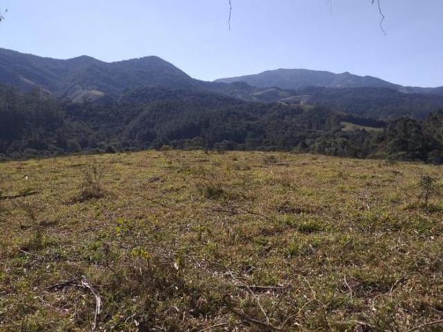 Terreno venda em Região Geográfica Imediata de Juiz de Fora, Bocaina de Minas