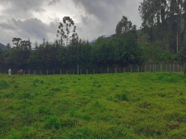 Terreno venda em Região Geográfica Imediata de Juiz de Fora, Bocaina de Minas
