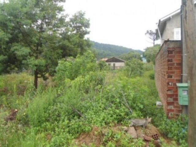 Terreno venda em Região Geográfica Imediata de Caxias do Sul, Nova Petrópolis