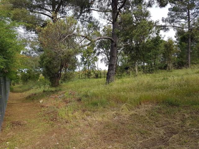 Terreno en venta en Valencia De Alcántara, Extremadura