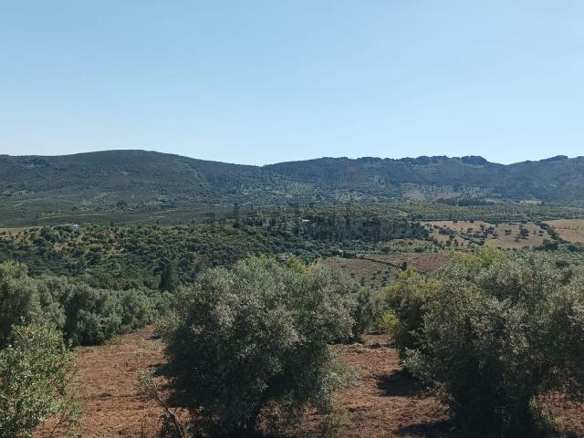 Terreno en venta en Valencia De Alcántara, Extremadura