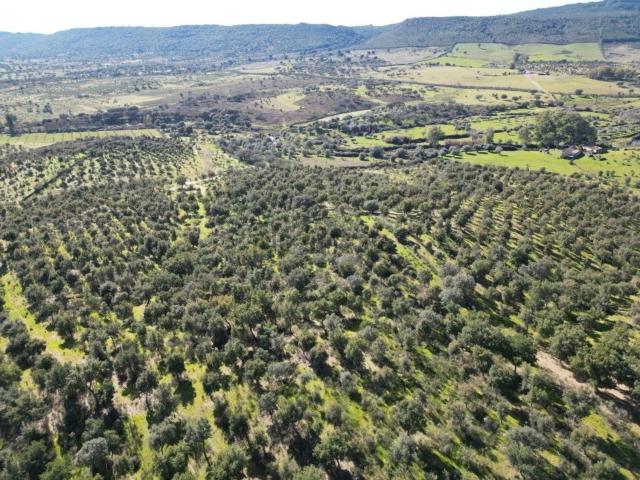 Terreno en venta en Valencia De Alcántara, Extremadura