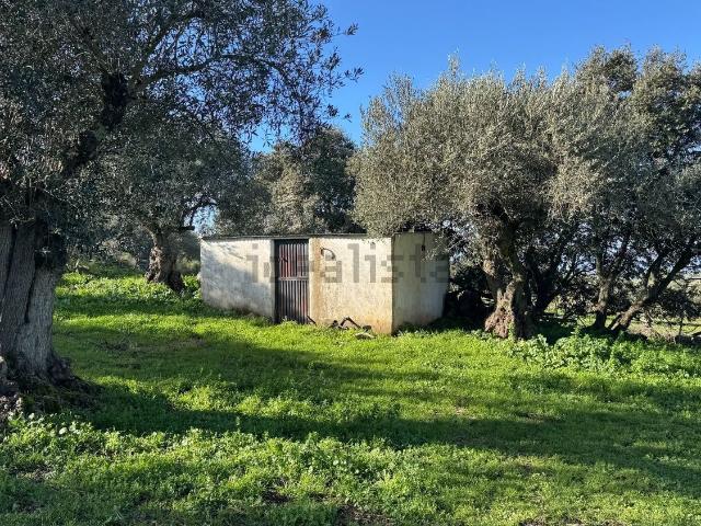 Terreno en venta en Valencia De Alcántara, Extremadura