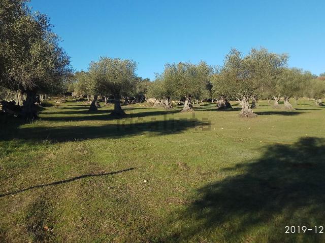 Terreno en venta en Valencia De Alcántara, Cáceres