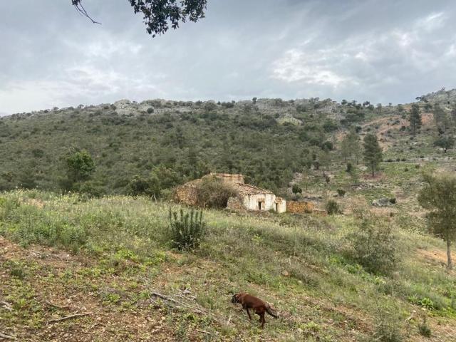 Terreno en venta en Valencia De Alcántara, Extremadura