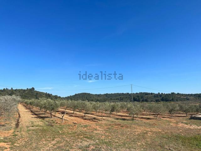 Terreno en venta en la Plana Alta, Valencia