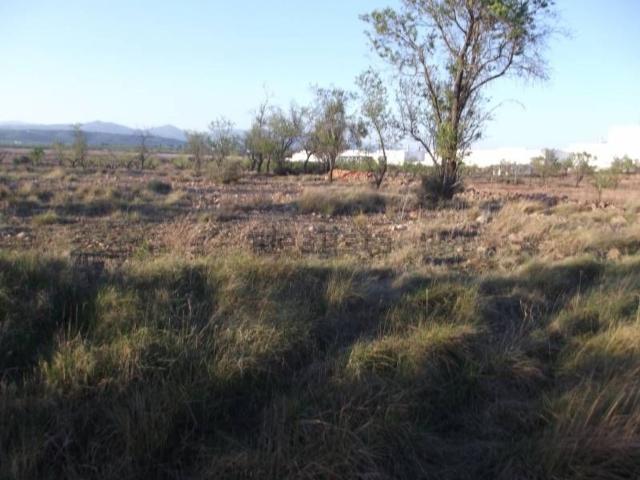Terreno en venta en la Plana Alta, Valencia