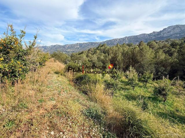 Terreno en venta en la Marina Alta, Valencia