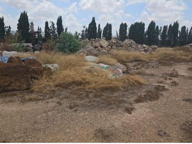 Local Comercial en alquiler en Murcia, Valladolises