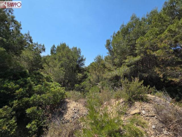 Terreno en venta en Segur de Dalt, Baix Penedès