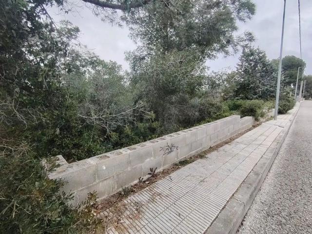 Terreno en venta en Segur de Dalt, Baix Penedès