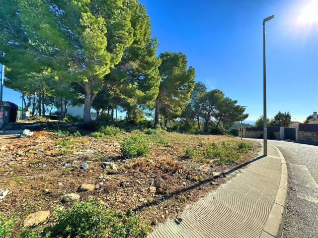 Terreno en venta en Segur de Dalt, Baix Penedès