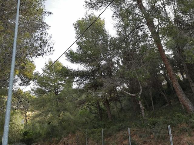 Terreno en venta en Segur de Dalt, Baix Penedès