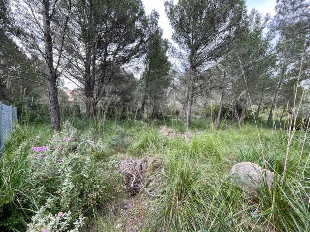 Terreno en venta en George Sand, Serra de Tramuntana