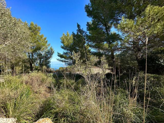 Terreno en venta en George Sand, Serra de Tramuntana