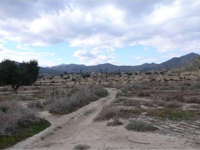 Terreno en venta en El Llofriu, l'Alacantí