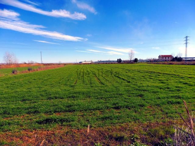 Terreno en venta en Noguera, Catalunya